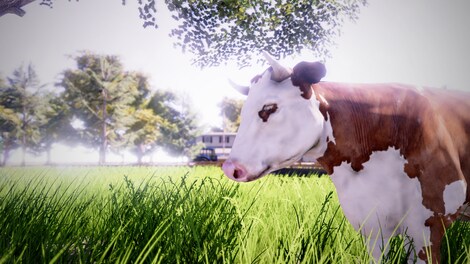 Real Farm (Xbox One) - Xbox Live Key - UNITED STATES - 16