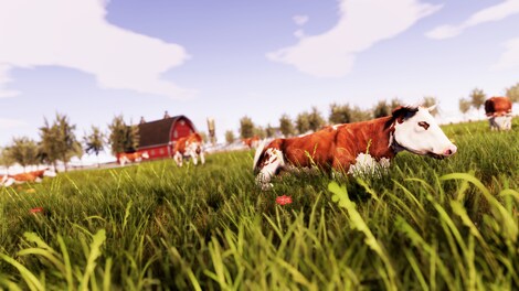 Real Farm (Xbox One) - Xbox Live Key - UNITED STATES - 19