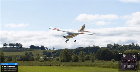 RealFlight 9.5S (PC) - Steam Gift - EUROPE - 4