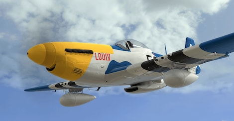 RealFlight 9.5S (PC) - Steam Key - CIS - 13