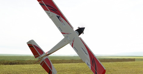 RealFlight 9.5S (PC) - Steam Key - CIS - 8