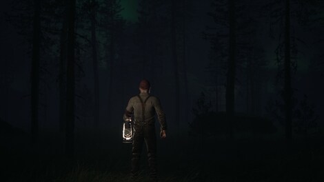 Reclusive (PC) - Steam Key - GLOBAL - 5