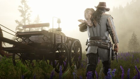 Red Dead Online (PC) - Green Gift Key - EUROPE - 4