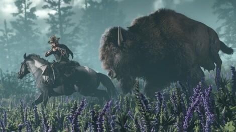 Red Dead Online (PC) - Green Gift Key - EUROPE - 5
