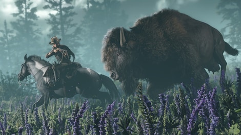 Red Dead Online (PC) - Green Gift Key - GLOBAL - 5