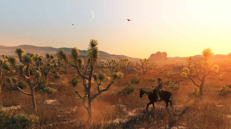 Red Dead Redemption (Nintendo Switch 2) - Nintendo eShop Key - EUROPE - 8