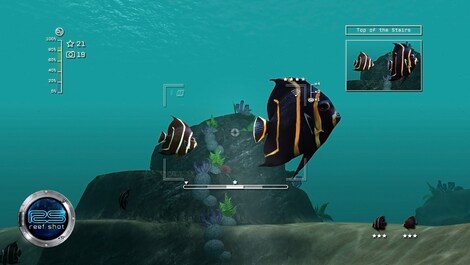 Reef Shot Steam Key GLOBAL - 0