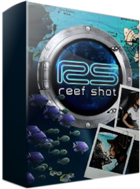 Reef Shot Steam Key GLOBAL - 3