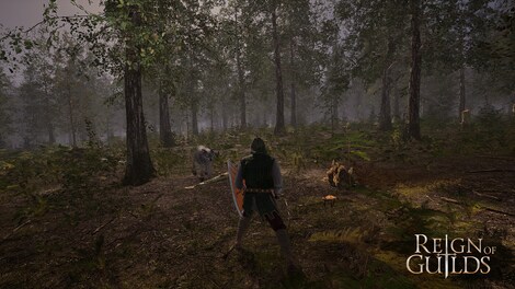 Reign of Guilds | Banneret Edition (PC) - Steam Gift - GLOBAL - 14