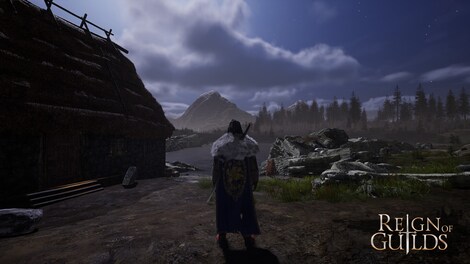 Reign of Guilds (PC) - Steam Account - GLOBAL - 4