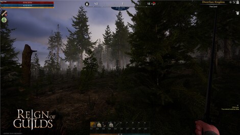 Reign of Guilds (PC) - Steam Account - GLOBAL - 7