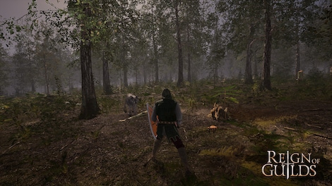 Reign of Guilds (PC) - Steam Account - GLOBAL - 14