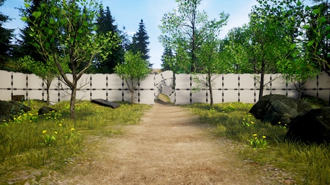 Reveal Steam Key GLOBAL - 7