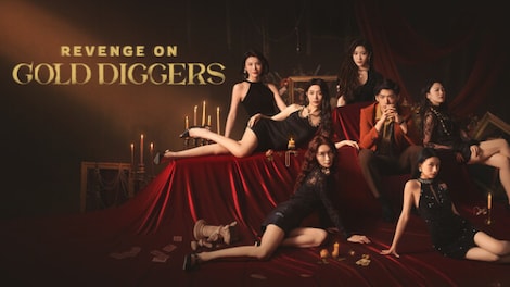 Revenge On Gold Diggers (PC) - Steam Key - GLOBAL - 0