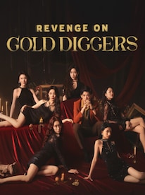 Revenge On Gold Diggers (PC) - Steam Key - GLOBAL - 1