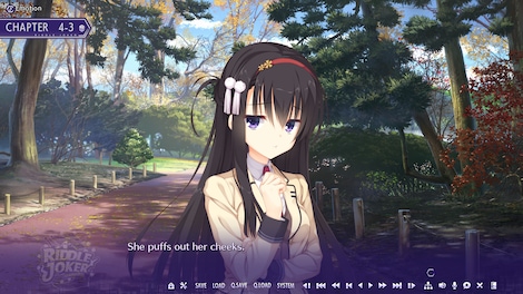 Riddle Joker (PC) - Steam Gift - GLOBAL - 15