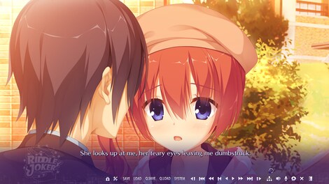 Riddle Joker (PC) - Steam Gift - JAPAN - 19
