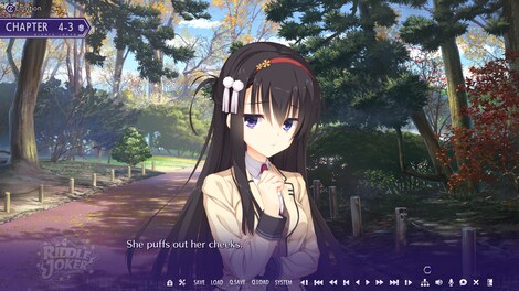Riddle Joker (PC) - Steam Gift - NORTH AMERICA - 15