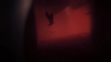 Rise of Insanity Xbox Live Key UNITED STATES - 10