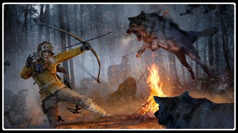Rise of the Tomb Raider - Endurance Mode Steam Key GLOBAL - 0