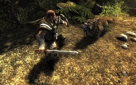 Risen (PC) - Steam Key - GLOBAL - 14