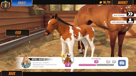 Rival Stars Horse Racing: Desktop Edition (PC) - Steam Key - GLOBAL - 12