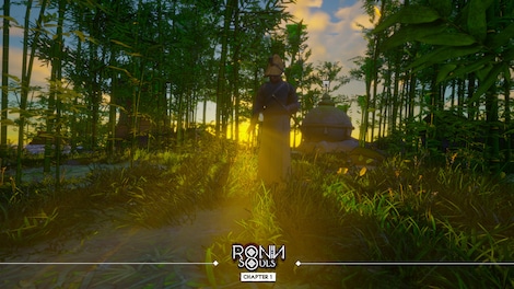 RONIN: Two Souls CHAPTER 1 (PC) - Steam Key - GLOBAL - 15