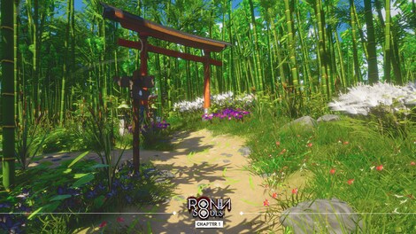 RONIN: Two Souls CHAPTER 1 (PC) - Steam Key - GLOBAL - 10