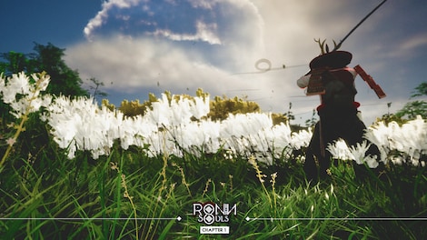 RONIN: Two Souls CHAPTER 1 (PC) - Steam Key - GLOBAL - 5