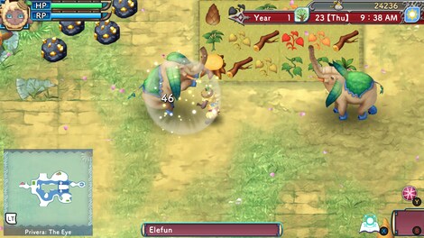 Rune Factory 3 Special | Digital Deluxe Edition (PC) - Steam Key - EUROPE - 4