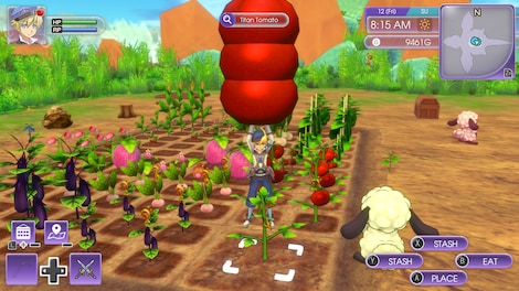 6/26限定SALE＊龍の国 Rune Factory Switch Rune 6/26限定SALE＊龍の国 Switch Factory