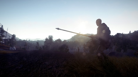 Rust (PC) - Steam Account - ASIA - 10