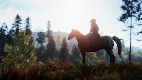 Rust Random Account | Random  200+ Skins (PC) - Steam Account - GLOBAL - 10
