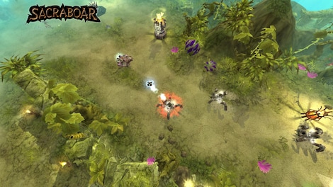 Sacraboar Steam Key GLOBAL - 4