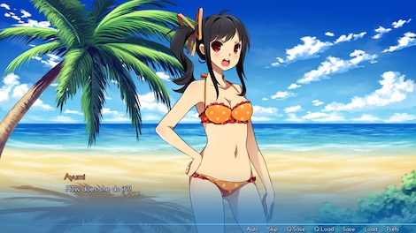 Sakura Beach 2 Steam Key GLOBAL - 3