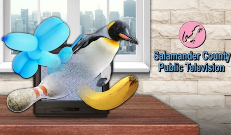 Salamander County Public Television (Xbox Series X/S) - Xbox Live Key - EUROPE - 0