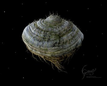 Samorost 2 (PC) - Steam Gift - GLOBAL - 8