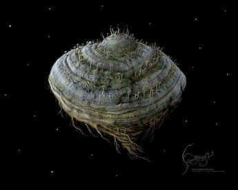 Samorost 2 Steam Key GLOBAL - 8