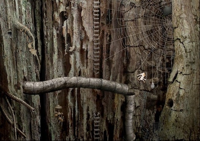 Samorost 2 Steam Key GLOBAL - 14