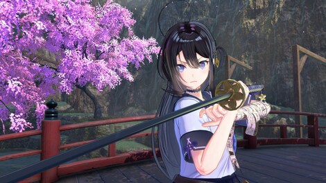 SAMURAI MAIDEN (PC) - Steam Gift - GLOBAL - 3
