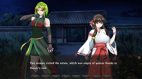 Samurai Vandalism (PC) - Steam Key - GLOBAL - 3