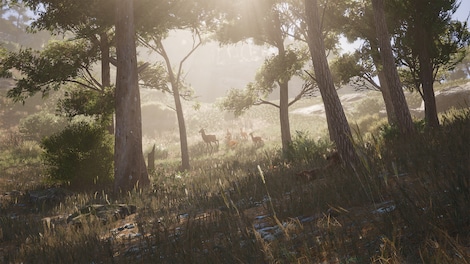 SCUM Character Bundle (PC) - Steam Key - EUROPE - 4