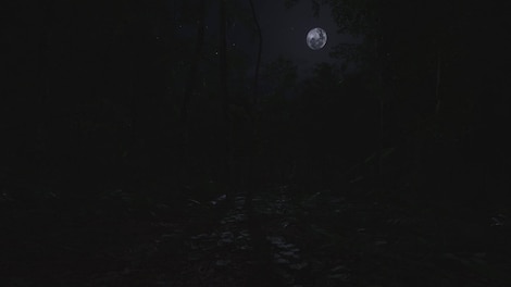 SCUM (PC) - Steam Key - EUROPE - 22