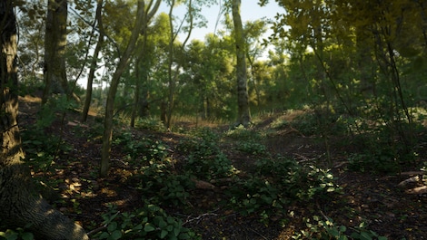 SCUM Woodland Hunter Pack (PC) - Steam Key - GLOBAL - 10