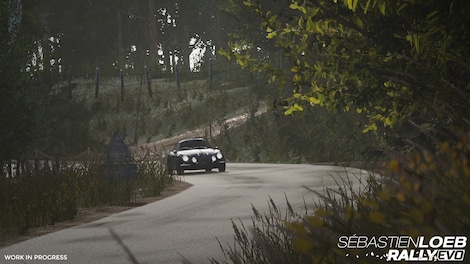 Sébastien Loeb Rally Evo (PC) - Steam Key - EUROPE - 22