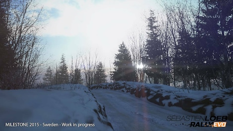 Sébastien Loeb Rally Evo (PS4) - PSN Account - GLOBAL - 4