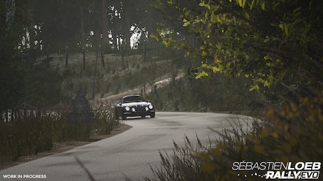 Sebastien Loeb Rally EVO - Special Edition Steam Gift GLOBAL - 3