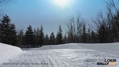 Sebastien Loeb Rally EVO - Special Edition Steam Key GLOBAL - 5