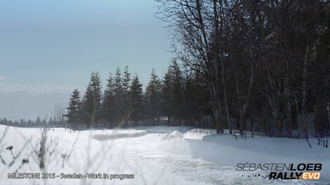 Sebastien Loeb Rally EVO Steam Gift CIS - 18