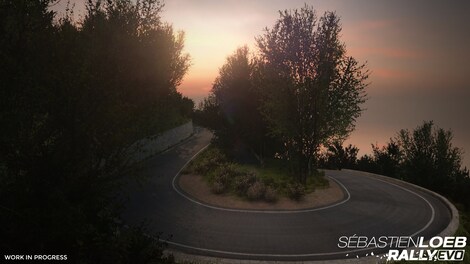 Sebastien Loeb Rally EVO Steam Gift CIS - 4
